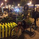 ���� �������, �����-���������, 51 ��� - ��������� 13 ��� 2017 � ������ ���� ����������