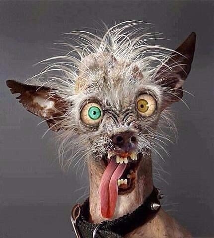 -       ?    ....- ?-  !