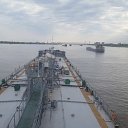 ���� ����, ������, 37 ��� - ��������� 11 �������� 2017