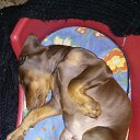 ���� ���/120/, �����-��������� - ��������� 8 ������� 2017 � ������ �����