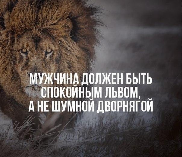    - 29  2017  20:42