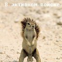 ���� ����� ���, �����������, 39 ��� - ��������� 23 ������ 2017