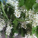 ���� ������, ������, 62 ���� - ��������� 28 ��� 2017 � ������ ���� ����������