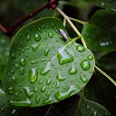 ���� ������, ������, 49 ��� - ��������� 17 ��� 2017 � ������ ������� Nikon�