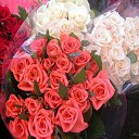 ���� Serg, ������, 66 ��� - ��������� 28 ������� 2017 � ������ ���� ����!!!�