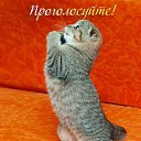 ���� Viktor, ����� - ��������� 25 ��� 2017 � ������ ������ ��������