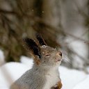 ���� ������, ������ - ��������� 31 ������� 2017 � ������ �������