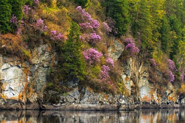 �������� �������! - 16 ������� 2017 � 20:21