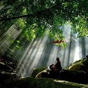 ���� �����, ���������, 45 ��� - ��������� 11 �������� 2017 � ������ ���� ����������