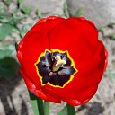 ��� 2017 �� ������� ���� ����������� (!) ��������)�