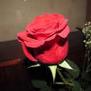 ���� ���������, ���������, 50 ��� - ��������� 3 ������� 2017 � ������ �������