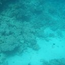 �� ��� ������ 5... �� ������� ������� 2017�