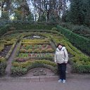 ���������� 23.11.2017�. �� ������� ���� ����������
