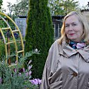 ���� �������, ����� - ��������� 29 ��� 2017 � ������ ���� ����������