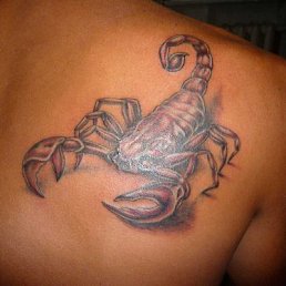 ���� �������, ������ - ��������� 10 ������� 2017