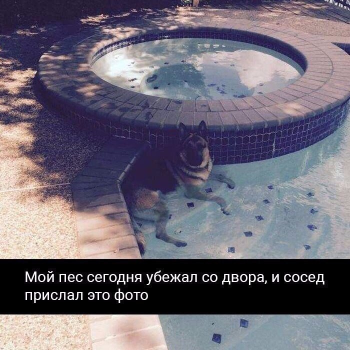    ! - 7  2017  11:52