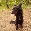 ���� ���������, �������� - ��������� 3 ������� 2017 � ������ ���� ����������