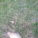 ���� ���������, ��������� - ��������� 15 ������� 2017 � ������ ����