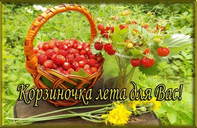Мне, пожалуйста, чашечку лета, Если можно - то самого тёплого, С согревающим солнечным светом, С ...