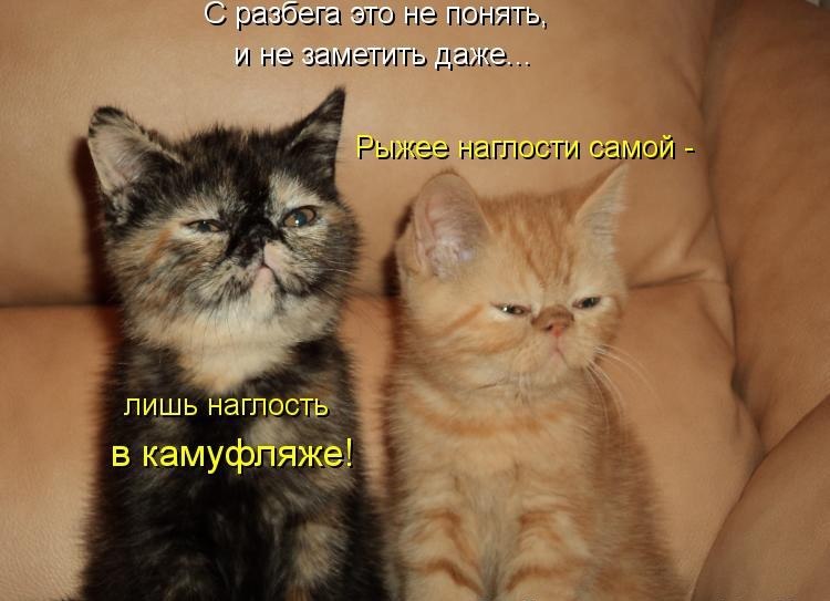   - 7  2017  18:15