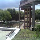 ���� ����, ��������, 39 ��� - ��������� 23 ���� 2017 � ������ ���� ����������