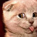 ���� ��������, ��������� - ��������� 29 ������ 2017 � ������ �������...�