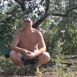 ���� �������, ��������, 34 ���� - ��������� 28 ���� 2017