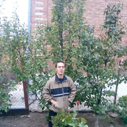 �������, ���������, 38 ���