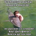 ���� ���������, ����������, 42 ���� - ��������� 17 ������ 2017 � ������ ������ ��������