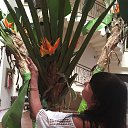 ���� �����, ������ - ��������� 25 ���� 2017 � ������ ���� ����������