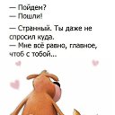 ���� Venera, ��������-��-������ - ��������� 30 �������� 2017 � ������ ������ ��������
