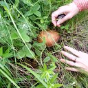 ���� *Swetlan�a, ��������, 44 ���� - ��������� 17 ���� 2017 � ������ ���� ����������