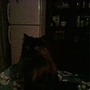 ���� �������, ����, 53 ���� - ��������� 29 ������� 2017 � ������ ���� ����������