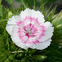 9.06.2017 �� ������� �� ��� - ��������!!!)))�