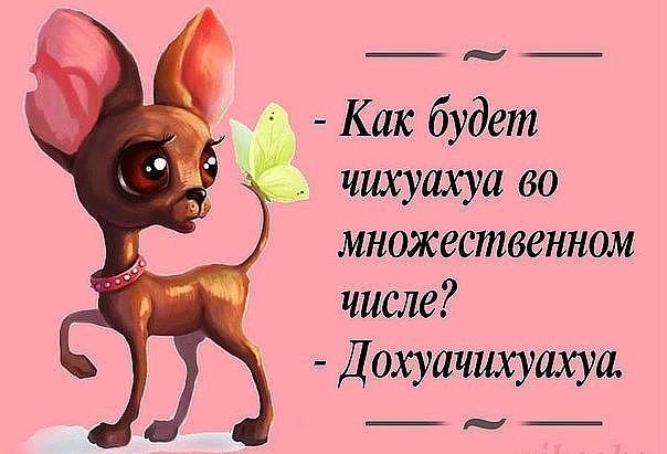    -   ,   ,   - ))) - 5