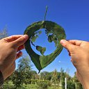 ���� ��������, ���������, 54 ���� - ��������� 7 ��� 2017 � ������ ���� ����������