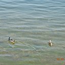 ���� ������, �������� - ��������� 25 ���� 2017 � ������ ��������� �� �.�����������.�