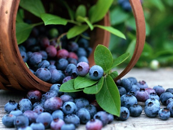 10 Самых полезных продуктов для продления жизни. Знаете ли вы, что с помощью еды можно продлить свою ...