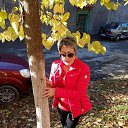 ���� ����, ������������, 66 ��� - ��������� 3 ������ 2017 � ������ ���� ����������