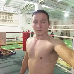 Donii, �����-���������, 31 ���