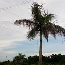 ���� ����, �������, 46 ��� - ��������� 3 ������ 2017 � ������ ���� ����������