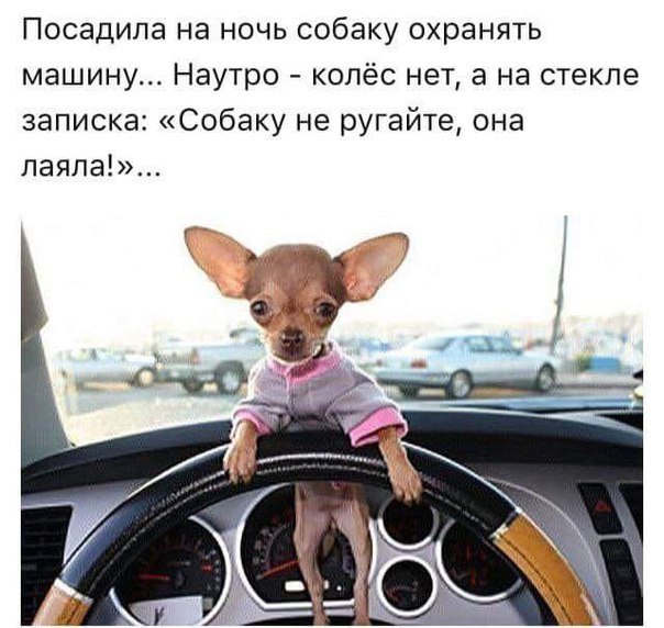      - 16  2017  08:16