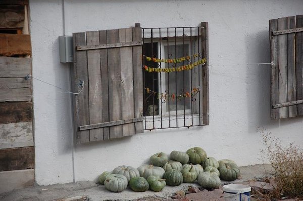 Pevril - 17 ������� 2017 � 09:18 - 11