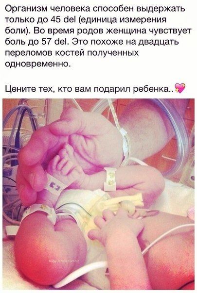 Ед боли