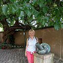18.06.17 - �������� �� ������� ���� ����������