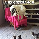 ���� �������, ������ - ��������� 8 ���� 2017 � ������ ������ ��������