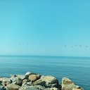 ���� �������, ��������� - ��������� 30 ���� 2017 � ������ ���� ����������