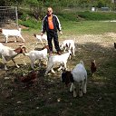 ���� ����, ������, 77 ��� - ��������� 20 ������� 2017 � ������ ���