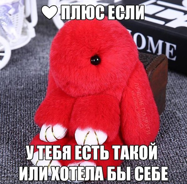 Опрос: у вас есть такой кролик? Лана