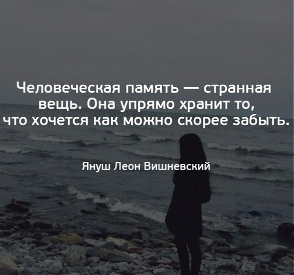   -  ,  -  - 23  2017  20:05